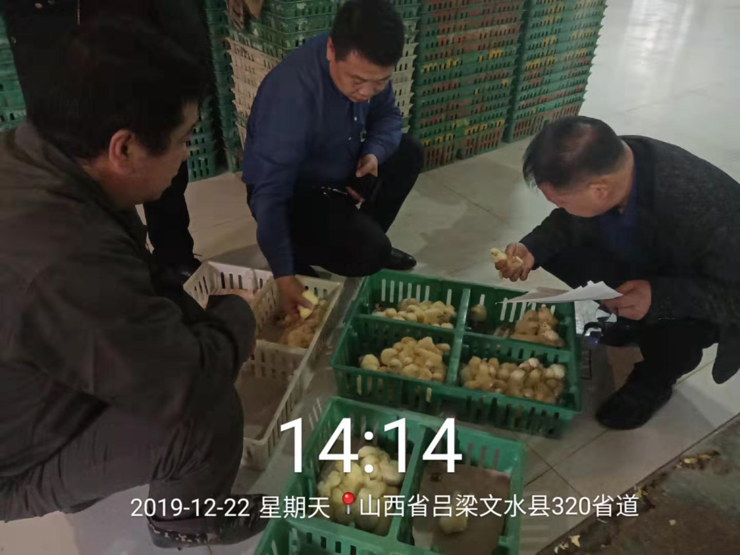 202202251042208113 冰球突破-冰球电游豪华版_MG冰球游戏