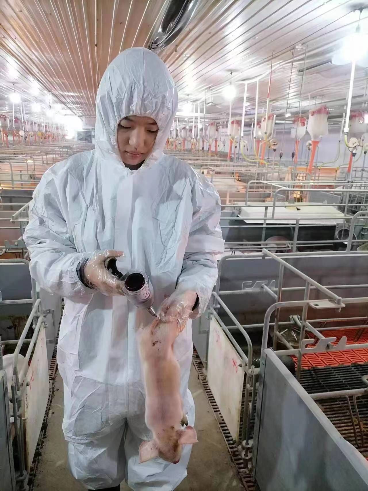 ����ͻ��-������κ�����_MG������Ϸ