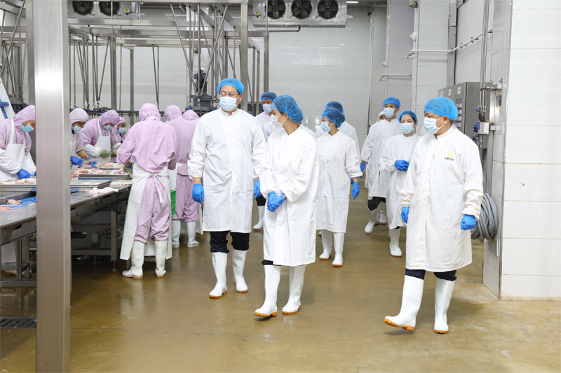 ����ͻ��-������κ�����_MG������Ϸ