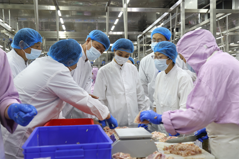 ����ͻ��-������κ�����_MG������Ϸ