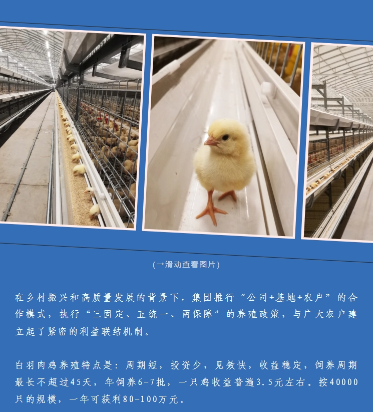 ����ͻ��-������κ�����_MG������Ϸ