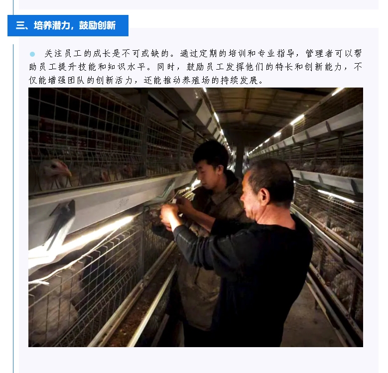 ����ͻ��-������κ�����_MG������Ϸ