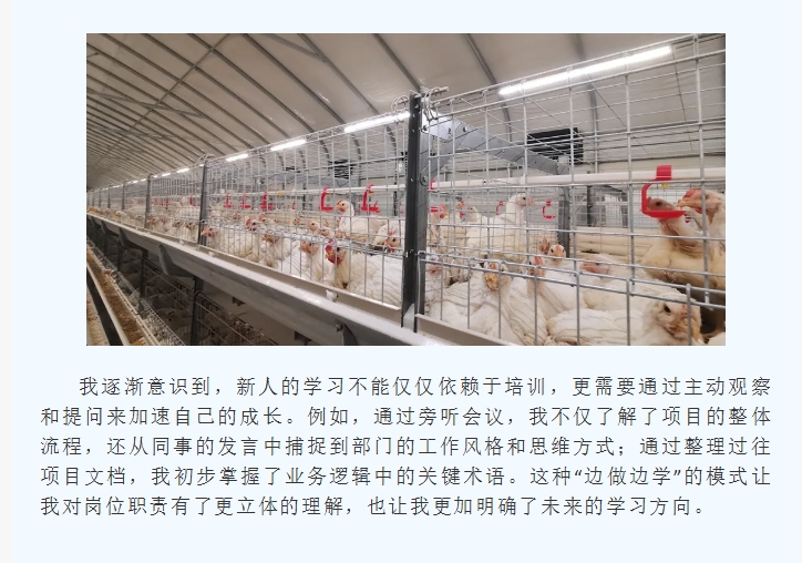 ����ͻ��-������κ�����_MG������Ϸ