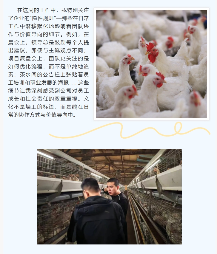 ����ͻ��-������κ�����_MG������Ϸ