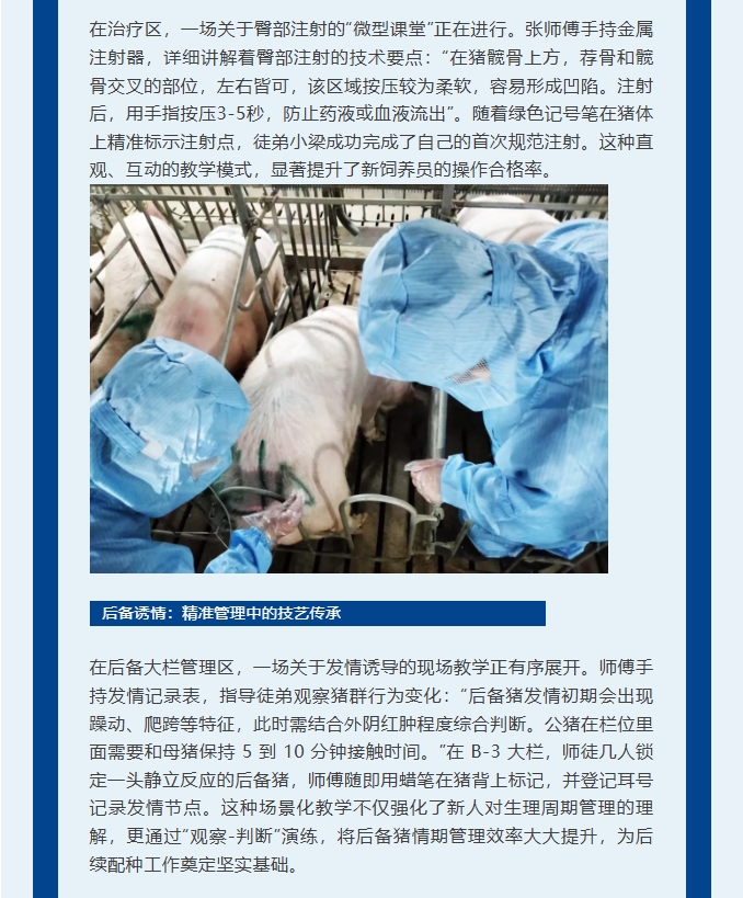 ����ͻ��-������κ�����_MG������Ϸ